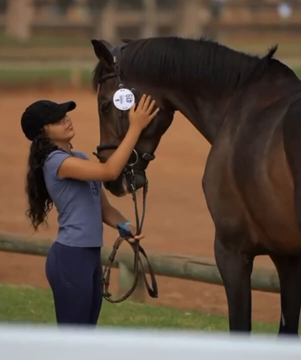 Cavalerie Poney Club