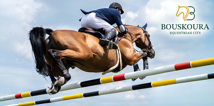 Cavalerie Poney Club